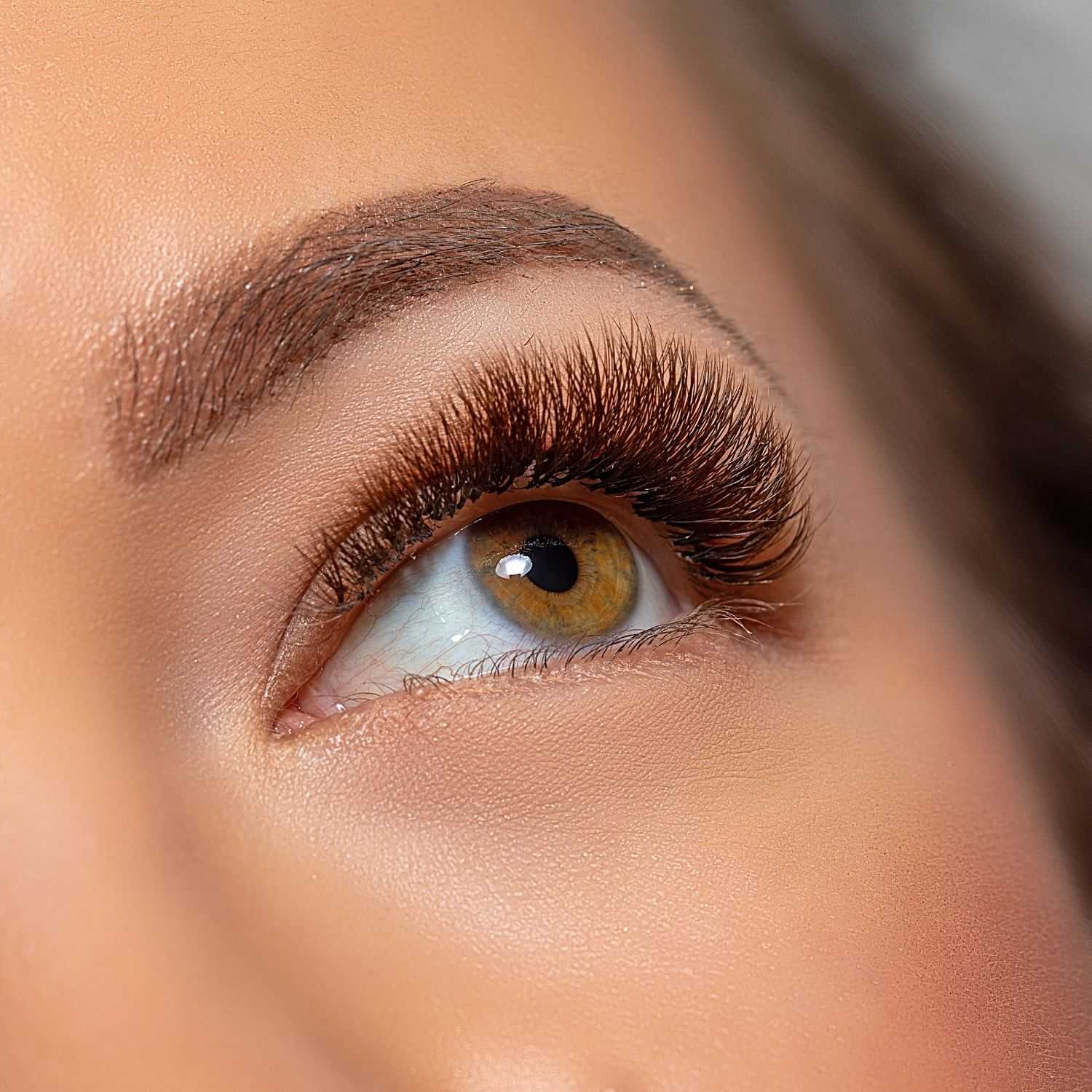 Close-up of a woman's eye with long eyelashes, well-defined eyebrows, and natural makeup.