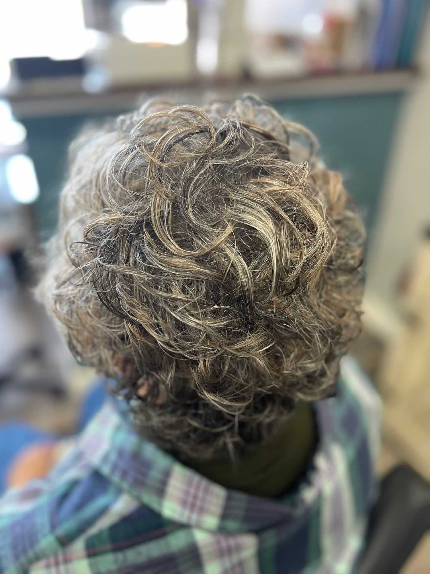 Back view of a person with curly gray-brown hair wearing a plaid shirt in a room.