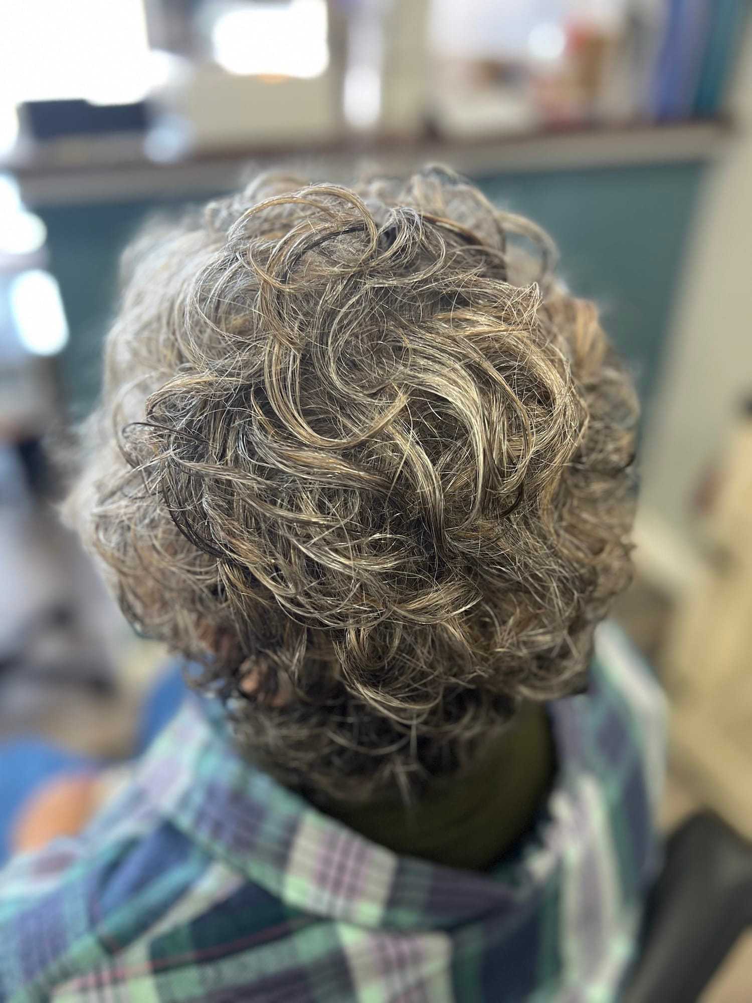 Back view of a person with curly gray-brown hair wearing a plaid shirt in a room.